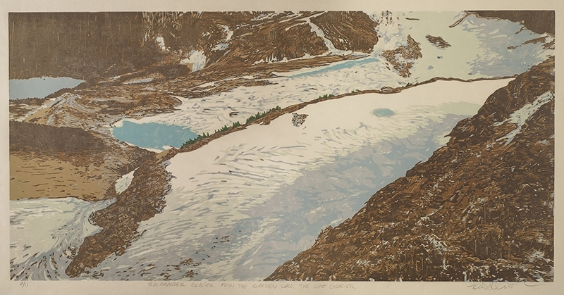 Todd Anderson, Salamander Glacier – The Last Glacier, 2014. Reductive woodcut, 15 by 30 inches.