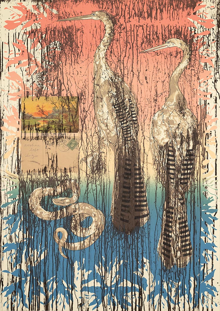 Nowhere Left to Go (Water Birds), 2021. Color lithograph with chine collé on Somerset paper, 34 x 24 inches. Editioned by Crow's Shadow Institute of the Arts.