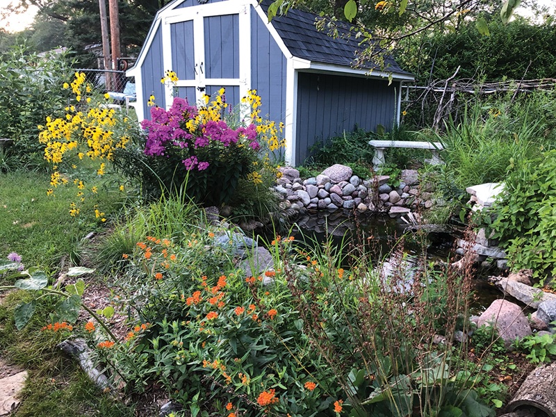 Every spring, Amy Yocum’s backyard bursts into color, thanks to a wide array of native flowers. Photo by Amy Yocum Amy Yocum's Backyard