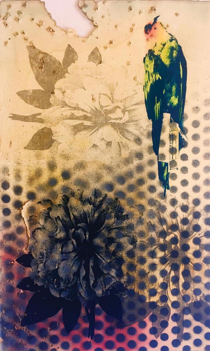 Carolina Parakeet (extinct 1918), 2019. Unique screenprint on BFK paper with shot, 15 x 11 inches.