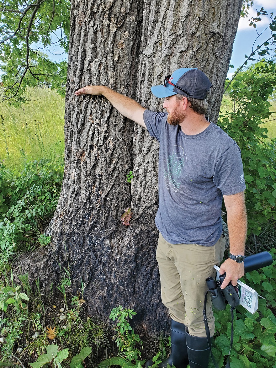 Brian Miner showing height of charring on a tree. Photo by Emily Mills, The Nature Conservancy