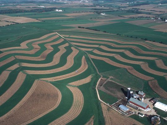 Good land management practices such as contour farming and incorporating buffer strips, narrow bands of grasses/legumes planted on the contour between wider strips of crops, reduce soil erosion and runoff and help soil better capture carbon.