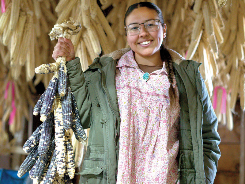 Traditional Tuscarora White Corn cultivated by the Oneida is high in protein, low in sugar, a good source of B12, and has a variety of culinary uses. Credit: Stephanie Lee Stevens
