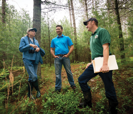 Nancy Bozek (left), a UW–Stevens Point faculty member and Director of the Wisconsin Woodland Owners Association, and Wisconsin DNR Region Team Supervisor Andrew Sorenson (right) talk with Kevin Ponsler (center), a Procurement Manager for Biewer Lumber, about to how to responsibly harvest a forested area in Wood County while maximizing its capacity for carbon capture. Photo credit: WDNR