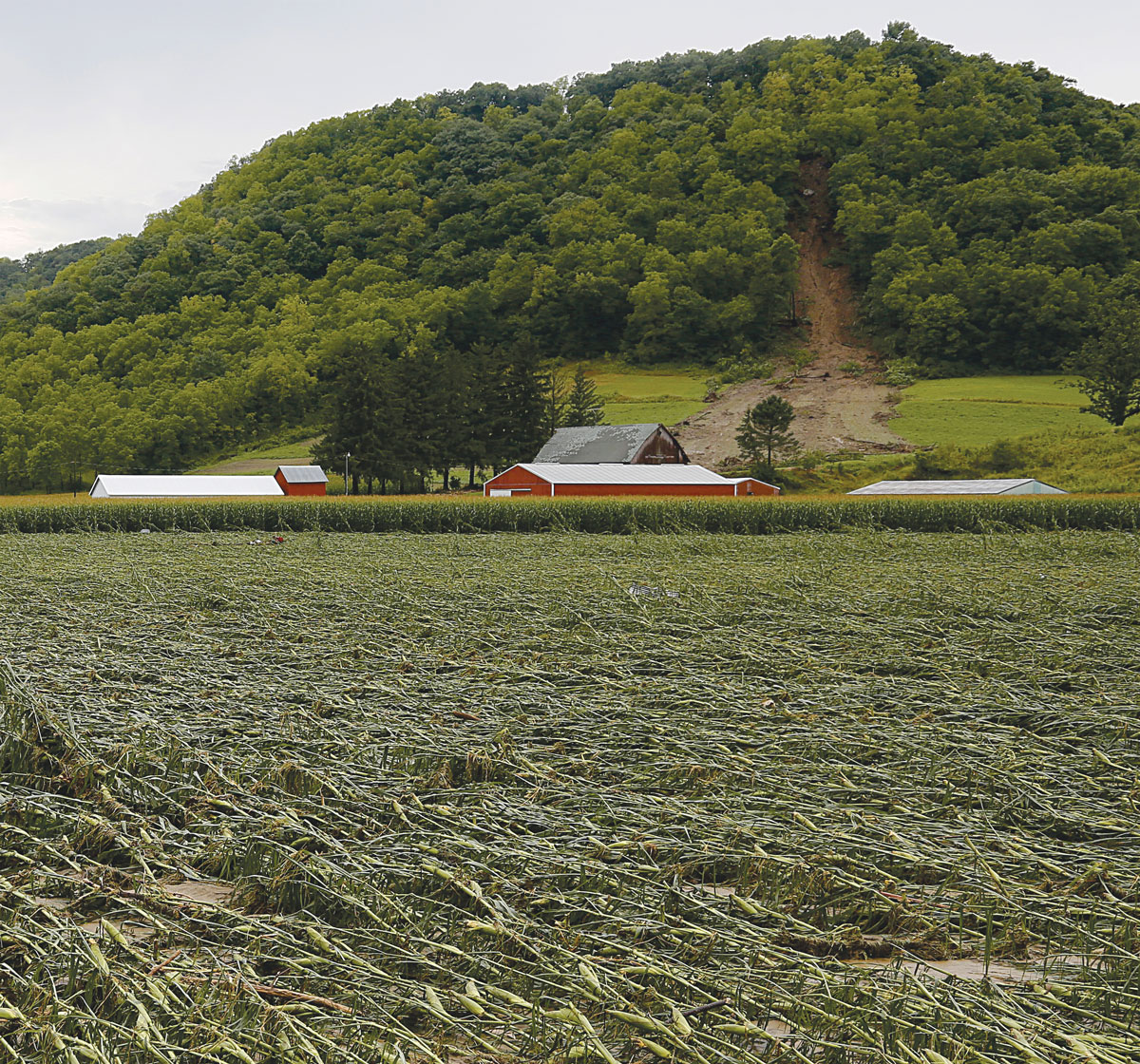 Driftless hillsides that have held the land in place for thousands of years gave way in numerous locations between August 27 and 28, 2018. Photo by Jon Lee.