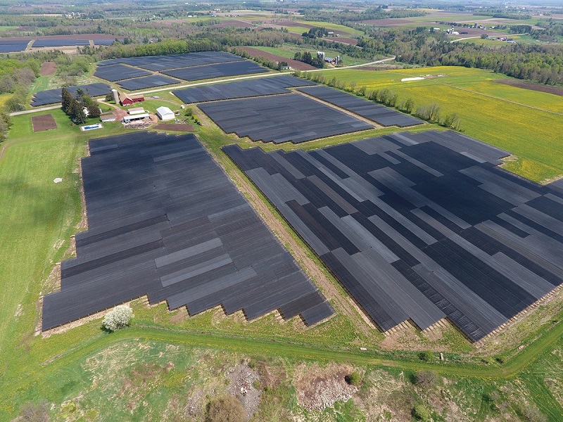 An aerial view of the Hsu ginseng farm, near Wausau, Wisconsin.