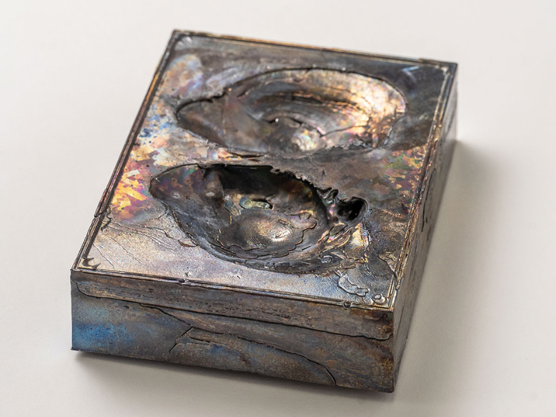 Lillian Luft. A Hollow Where a Body Might Go. 2025. Lead, digital scan of extinct mussel species. 8x4.5x3 inches. Lillian Luft. A Hollow Where a Body Might Go. 2025. Lead, digital scan of extinct mussel species. 8x4.5x3 inches.
