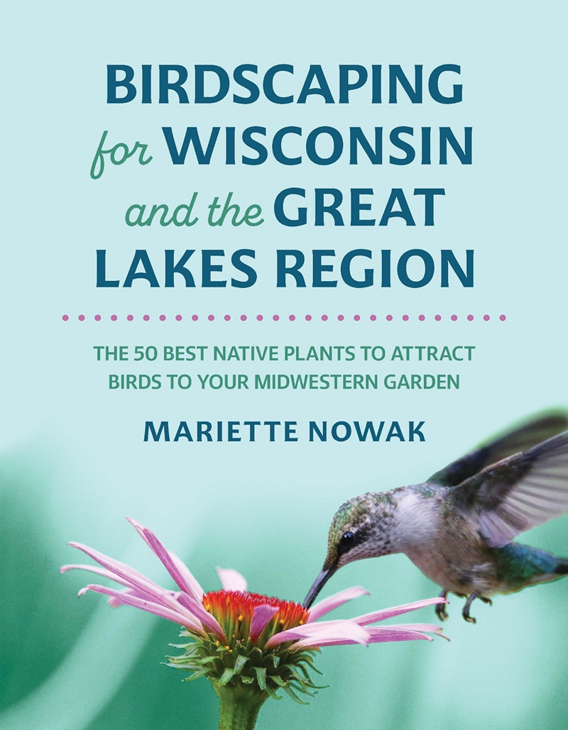Cover of Birdscaping for Wisconsin and the Great Lakes Region by Mariette Nowak