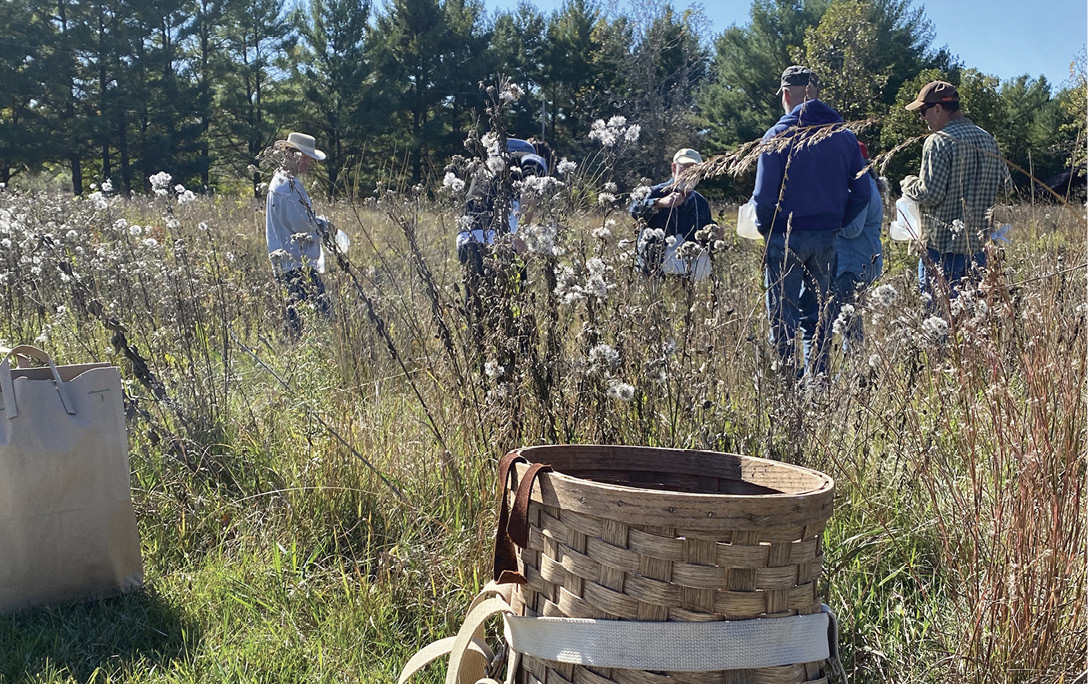 Seed collection with the Friends of the Field Station, October 2021.