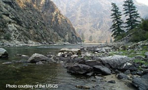 Middle fork of the Salmon River near Shoup, Idaho