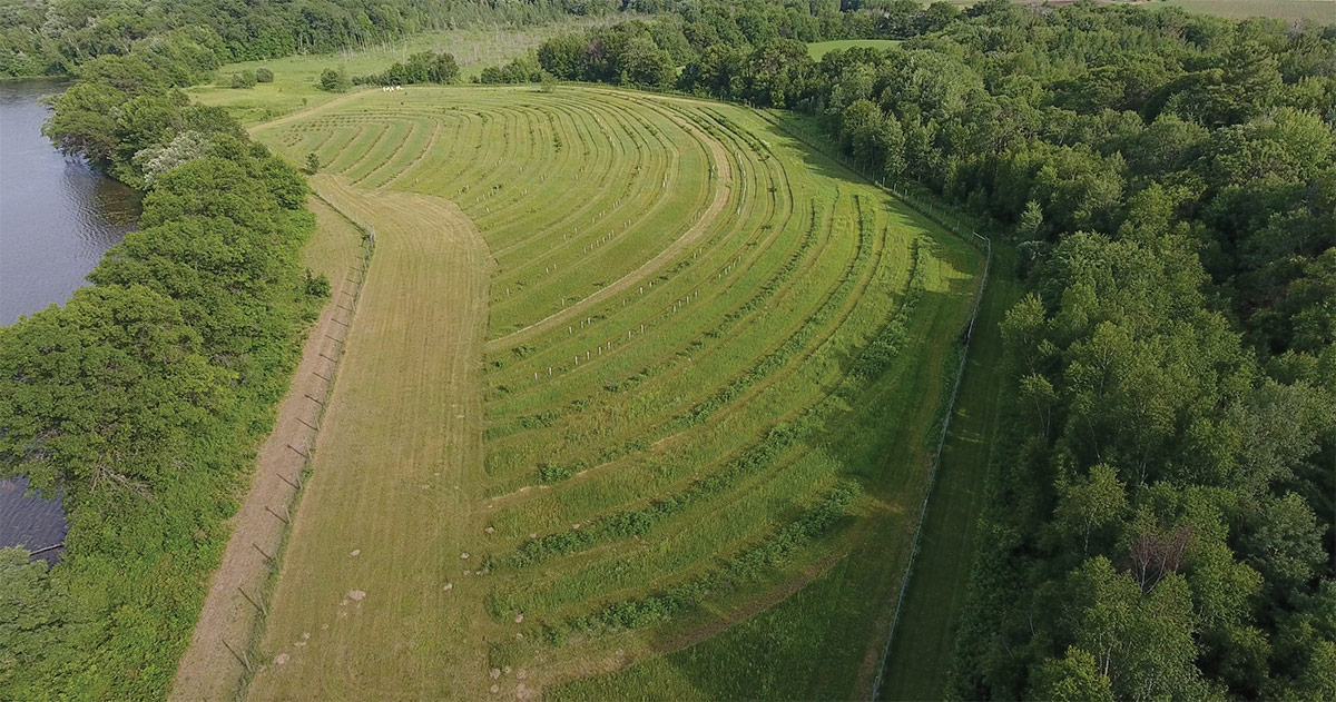 Lily Springs, a 100-acre regenerative agriculture farm in Polk County near Osceola, grows perennial crops including elderberries, nuts, and herbs, which sequester carbon and help prevent runoff from entering local waterways.