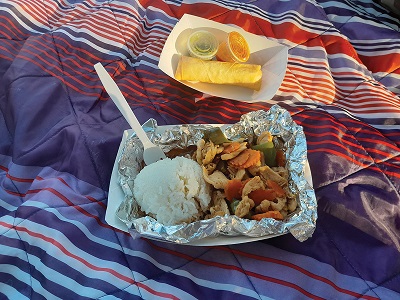 cashew chicken and a spring roll