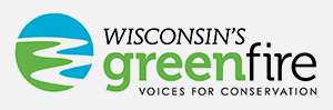 Wisconsin Green Fire logo