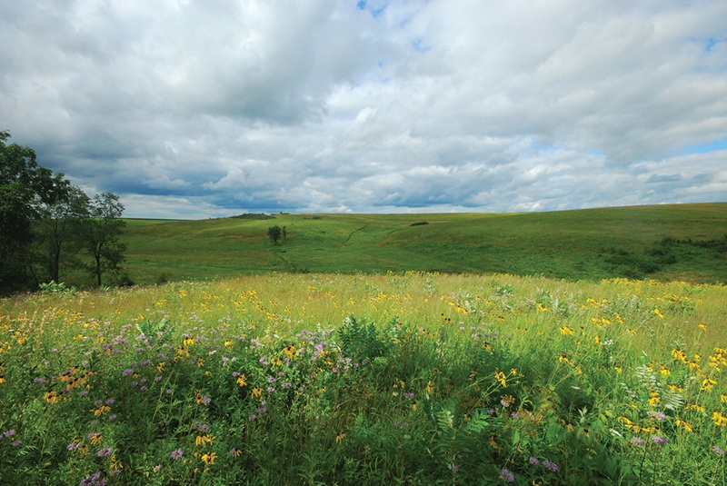 The Schurch-Thomson Prairie near Barneveld, Wisconsin