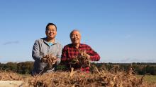 Photo of Paul Hsu and his son Will Hsu of Hsu Ginseng Enterprises