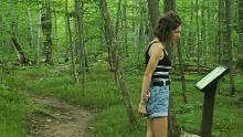 woman walking on a nature trail