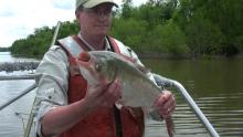 Moy holds a bighead carp caught on a recent trip to Havana, Illinois, on the Illinois River near Lake Chautauqua