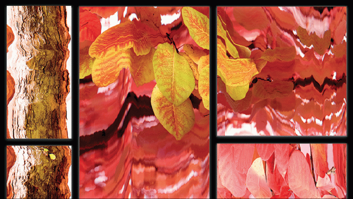 Nathaniel Stern, Troppling, multi-panel metal print, 25"x 37", 2018