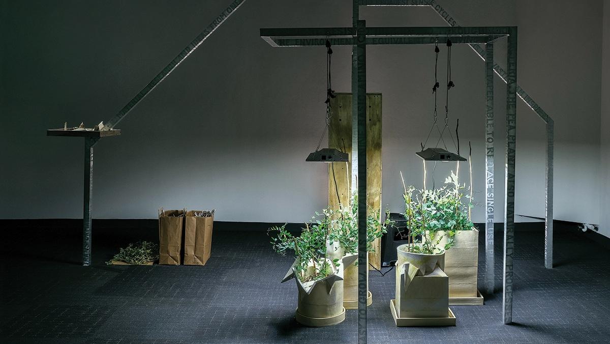 Waste Not: Art in an Age of Environmental Reckoning