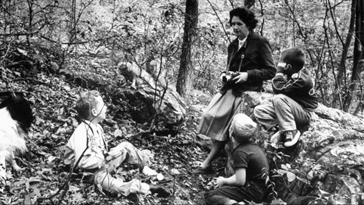 Watch Rachel Carson, American Experience, Official Site