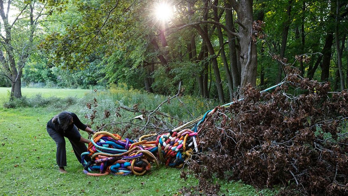 Entangled and The Weight of Our Past, image of outdoor art installation by Nirrmal Raja