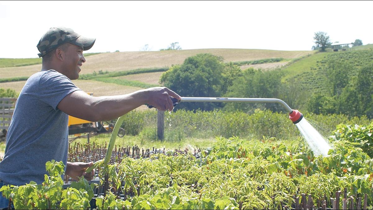 Wandy Peralta of Branches and Berries Farm in Wisconsin's Driftless Area partners with the Savanna Institute to educate farmers about food safety in agroforestry systems.