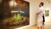 Visitor at Gregory Klassen: Heliotropism at James Watrous Gallery