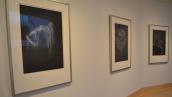Rina Yoon: Between In and Yeon