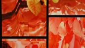 Nathaniel Stern Detail 