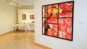 Nathaniel Stern Install View 