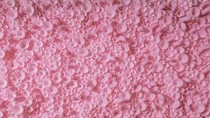 Maureen Fritchen, Untitled [Pink Sheet #3], 2022-2023, polyethylene foam, diabetic needles. Wall mounted.