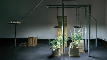 Liz Bachhuber and Jill Sebastian, Eat My Words, 2021, aluminum, worm-box (wood, worms, paper, table scraps), snow peas planted in worm-made compost, clay pots, growlights, plywood, shredded paper, handmade pea papercups.