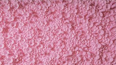 Maureen Fritchen, Untitled [Pink Sheet #3], 2022-2023, polyethylene foam, diabetic needles. Wall mounted.